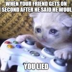 Sad Gamer Cat | WHEN YOUR FRIEND GETS ON .1 SECOND AFTER HE SAID HE WOULD; YOU LIED | image tagged in sad gamer cat | made w/ Imgflip meme maker