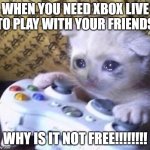 Sadness | WHEN YOU NEED XBOX LIVE TO PLAY WITH YOUR FRIENDS; WHY IS IT NOT FREE!!!!!!!! | image tagged in sad gamer cat | made w/ Imgflip meme maker
