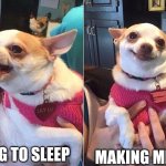 I'm not tired | GOING TO SLEEP; MAKING MEMES | image tagged in angry dog meme | made w/ Imgflip meme maker