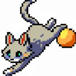 cat running from ball