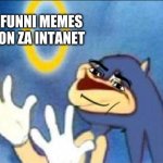 Sonic derp | FUNNI MEMES ON ZA INTANET; ME | image tagged in sonic derp | made w/ Imgflip meme maker