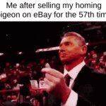 Infinite money glitch | Me after selling my homing pigeon on eBay for the 57th time | image tagged in gifs,money,pigeons,ebay | made w/ Imgflip video-to-gif maker