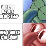 sleeping Squidward | WHEN I HAVE A GOOD SLEEP; WHEN I WAKE UP AT 3 AM | image tagged in sleeping squidward | made w/ Imgflip meme maker