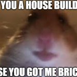 Are you tho? | ARE YOU A HOUSE BUILDER? BECAUSE YOU GOT ME BRICKED UP | image tagged in facetime hamster,funny,fun,funny memes,relatable,memes | made w/ Imgflip meme maker