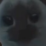 He’s so portugeese