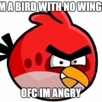 Angry Bird | IM A BIRD WITH NO WINGS; OFC IM ANGRY | image tagged in angry bird | made w/ Imgflip meme maker