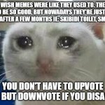 Is this true or am I just getting old? | I WISH MEMES WERE LIKE THEY USED TO. THEY USED TO BE SO GOOD, BUT NOWADAYS THEY'RE JUST CRINGE AND DIE AFTER A FEW MONTHS IE: SKIBIDI TOILET, SMURF CAT. YOU DON'T HAVE TO UPVOTE THIS, BUT DOWNVOTE IF YOU DISAGREE. | image tagged in crying cat,memes | made w/ Imgflip meme maker