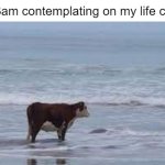 I'm 15 years old and I've already wasted my whole life :D | Me at 3am contemplating on my life choices: | image tagged in lonely cow,memes,relatable,funny,sad but true,oh wow are you actually reading these tags | made w/ Imgflip meme maker
