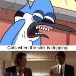 Sink dripping
