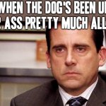 Omg i can't stand this anymore | WHEN THE DOG'S BEEN UP YOUR ASS PRETTY MUCH ALL DAY | image tagged in annoyed,memes,the office,pets can be jerks sometimes,relatable,michael scott | made w/ Imgflip meme maker