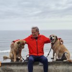 yo y mis perros