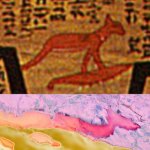 Chetumal & Costa Maya in Egyptian Underworld map template
