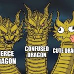 Another Literal Meme!! | CONFUSED DRAGON; CUTE DRAGON; FIERCE DRAGON | image tagged in three dragons | made w/ Imgflip meme maker
