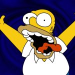 Homer Crazy