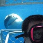 Shark photobomb