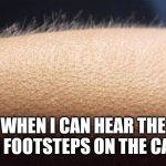 Goosebumps | WHEN I CAN HEAR THE CAT'S FOOTSTEPS ON THE CARPET | image tagged in goosebumps | made w/ Imgflip meme maker