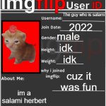 lol my id | The guy who is salami; 2022; male; idk; idk; cuz it was fun; im a salami herbert | image tagged in imgflip user id | made w/ Imgflip meme maker