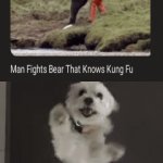 Man vs bear | image tagged in gifs,challenge accepted,kung fu,bear,memes,bears | made w/ Imgflip video-to-gif maker