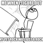 Table Flip Guy | ME WHEN I FIGURE OUT; MY PET ROCK WAS JUST A ROCK | image tagged in memes,table flip guy | made w/ Imgflip meme maker