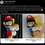 Mario toy