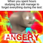 It's legit so annoying when this happens, especially during englsih tests ;) | When you spent hours studying but still manage to forget everything during the test: | image tagged in surreal angery,memes,funny,school,relatable memes,true story | made w/ Imgflip meme maker