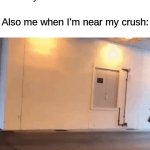 Yeah I'm not risking it | Me: "Awe man, I never get to talk to my crush whenever I'm near her!"; Also me when I'm near my crush: | image tagged in gifs,memes,funny,true story,relatable memes,crush | made w/ Imgflip video-to-gif maker