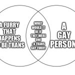 Lucky me I haven’t seen one | A GAY PERSON; A FURRY THAT HAPPENS TO BE TRANS; WHAT WOULD IT BE IF THEY WERE ONE : A TRANS GAY FURRY | image tagged in venn diagram | made w/ Imgflip meme maker