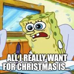 All I really want for Christmas is... | ALL I REALLY WANT FOR CHRISTMAS IS... | image tagged in what i learned in boating school is | made w/ Imgflip meme maker