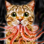 Flerken Personality meme