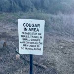 Cougar in area sign Meme Generator - Imgflip