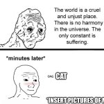 this world is a cruel and unjust place | CAT; *INSERT PICTURES OF MY CATS* | image tagged in this world is a cruel and unjust place | made w/ Imgflip meme maker