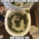 School | WHEN YOU WALK INTO SCHOOL AFTER A LONG WEEKEND; AND REALIZE YOU FORGOT TO DO YOUR HOMEWORK | image tagged in frogs in da toilet | made w/ Imgflip meme maker