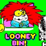 Incredible toons Looney Bin! | image tagged in sid al's incredible toons looney bin | made w/ Imgflip meme maker