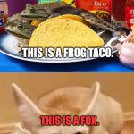 More important fox facts