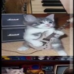 bad of cats template