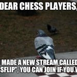 Link in comments. | DEAR CHESS PLAYERS, I MADE A NEW STREAM CALLED "CHESSFLIP", YOU CAN JOIN IF YOU WANT! | image tagged in pigeon shitting on chess board | made w/ Imgflip meme maker