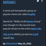 Msmg definition