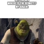 Shrek | PUTS DOWN REMOTE
SITS DOWN
WHERE IS THE REMOTE?
MY BRAIN: | image tagged in shrek | made w/ Imgflip meme maker