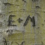 Initials carved in tree template