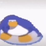 penguin GIF Template