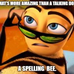 Daily Bad Dad Joke 11/21/2023 | WHAT'S MORE AMAZING THAN A TALKING DOG? A SPELLING  BEE. | image tagged in bee movie | made w/ Imgflip meme maker