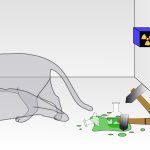 Schrodinger's Cat