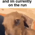 dog GIF Template