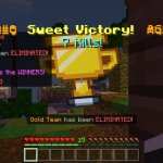 Whats the most kills you ever got in The Hive Skywars?