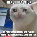 Crying cat | FRENCH REACTION; TO THE PROCLAMATION ACT TAKING AWAY THEIR SEIGNEURIAL LAND SYSTEM | image tagged in crying cat,french | made w/ Imgflip meme maker
