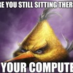 please boost | ARE YOU STILL SITTING THERE? AT YOUR COMPUTER? | image tagged in realistic yellow angry bird | made w/ Imgflip meme maker