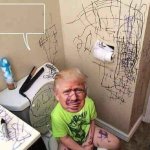 Trump baby infant toddler child toilet scribble walls