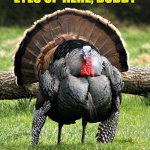 Eyes Up Here | EYES UP HERE, BUDDY | image tagged in thanksgiving day,breasts,turkey,turkey day | made w/ Imgflip meme maker