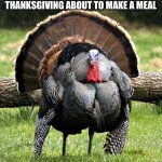 I’m sorry, little one. | POV: YOU’RE A FARMER ON THANKSGIVING ABOUT TO MAKE A MEAL | image tagged in thanksgiving day,turkey,dark humor | made w/ Imgflip meme maker