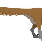 Dakotaraptor (Female)